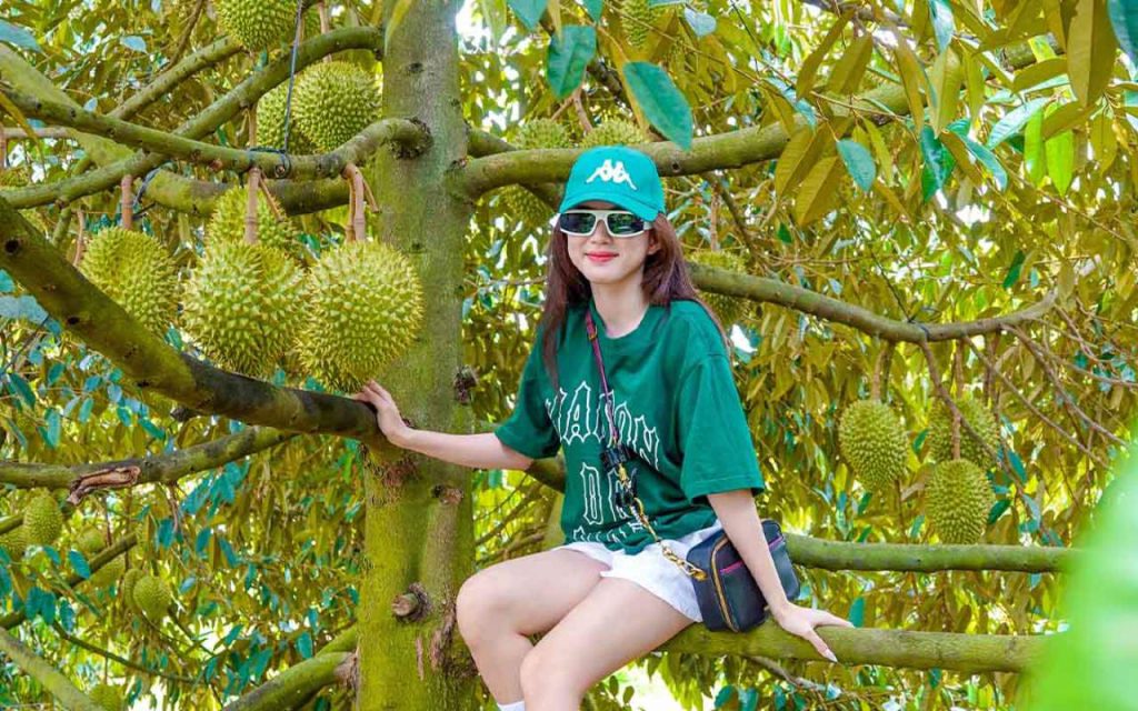 Khám phá “vương quốc” trái cây Cần Thơ